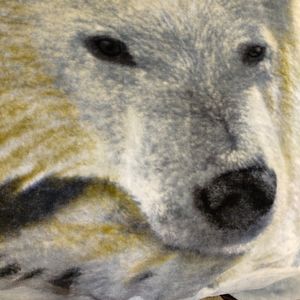 White Polar Bear Blanket Northwest Company 60x50  “signed” COLLIN BOGLE …